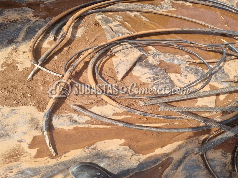 WhatsApp Image 2025-11-07 at 12.53.44 PM (1).jpg